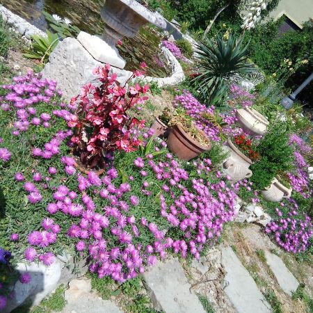 Villa Fiorita Monfalcone Luaran gambar
