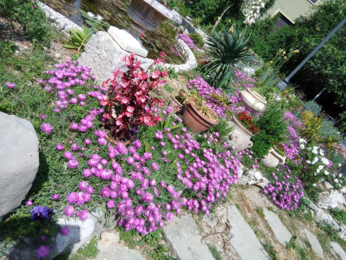Villa Fiorita Monfalcone Luaran gambar