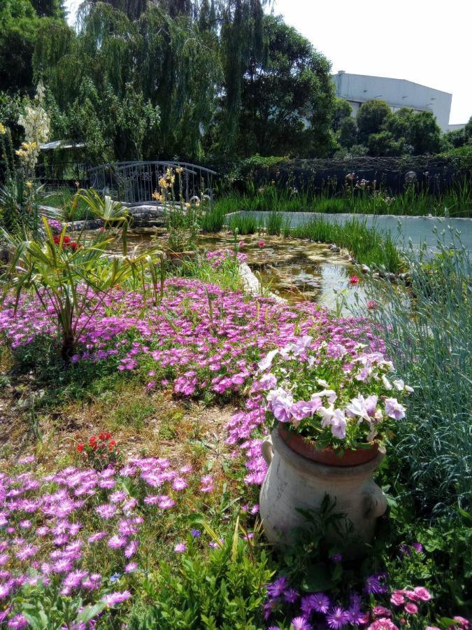 Villa Fiorita Monfalcone Luaran gambar