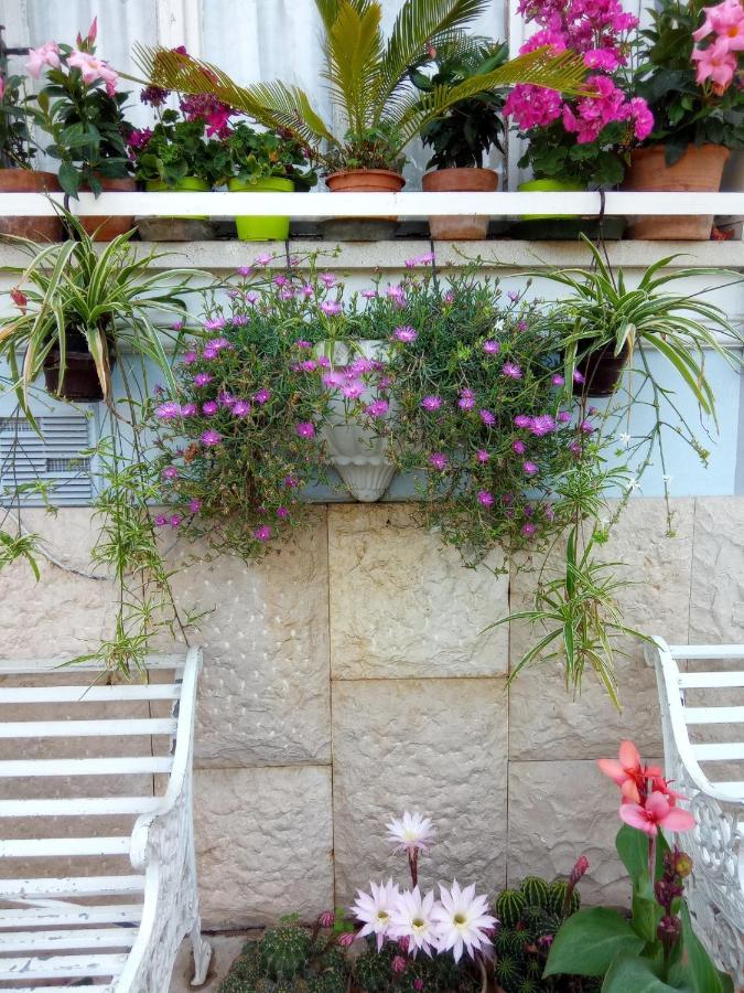 Villa Fiorita Monfalcone Luaran gambar